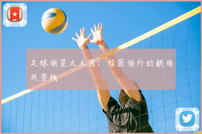 足球明星太太团:绿茵场外的靓丽风景线